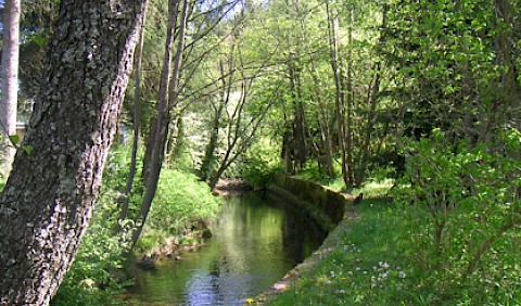 Der Lappach im hinteren Grundstücksbereich