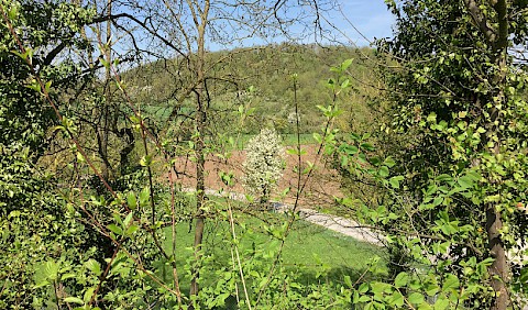 Blick vom Baugrundstück...