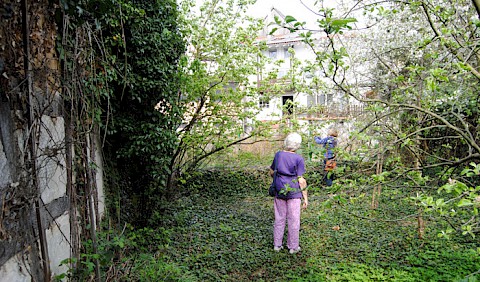 Der Garten hinter der Scheune