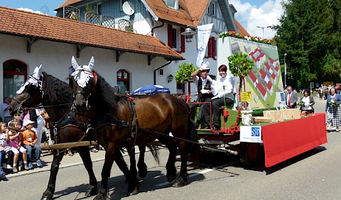 Das Projekt als Zweispänner auf dem Festumzug