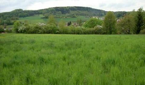 Das Grundstück für Aufwind Stockach e.V.