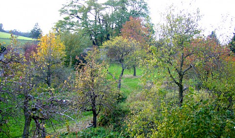 Herbst im Klostergarten