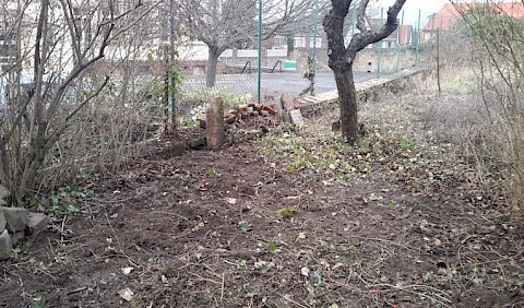 Der Boden im Garten wird wieder sichtbar